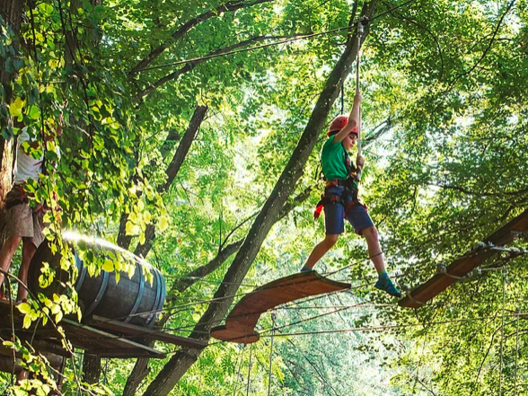 mit Seil geschützte Kinder beim Baumklettern in luftiger Höhe